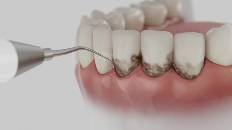 Reliable Dental contractor in Lee County County, KY by Dentist Open Now